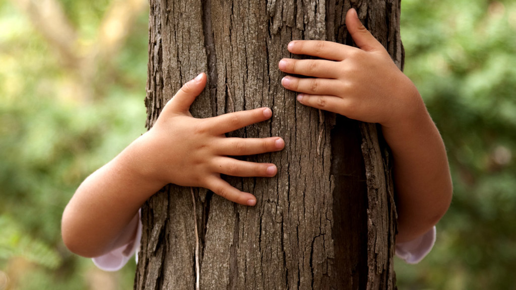 armar som kramar ett träd - Hållbar tillväxt - AAK