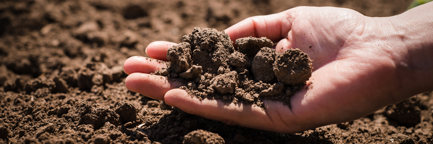 Hand som håller odlingsjord - Technical products - AAK