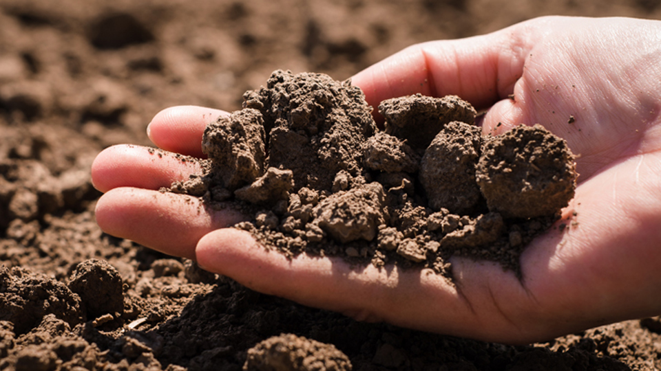Hand som håller odlingsjord - Technical products - AAK