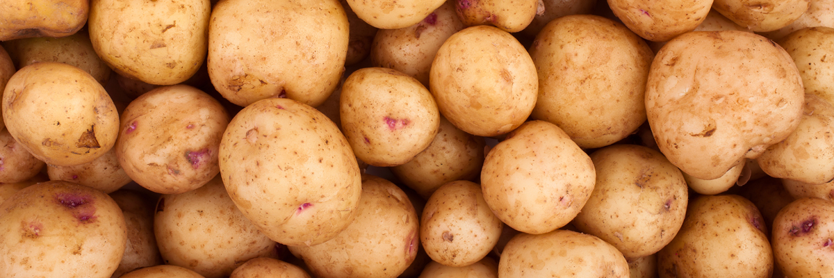 Potatisar - Technical Products - AAK