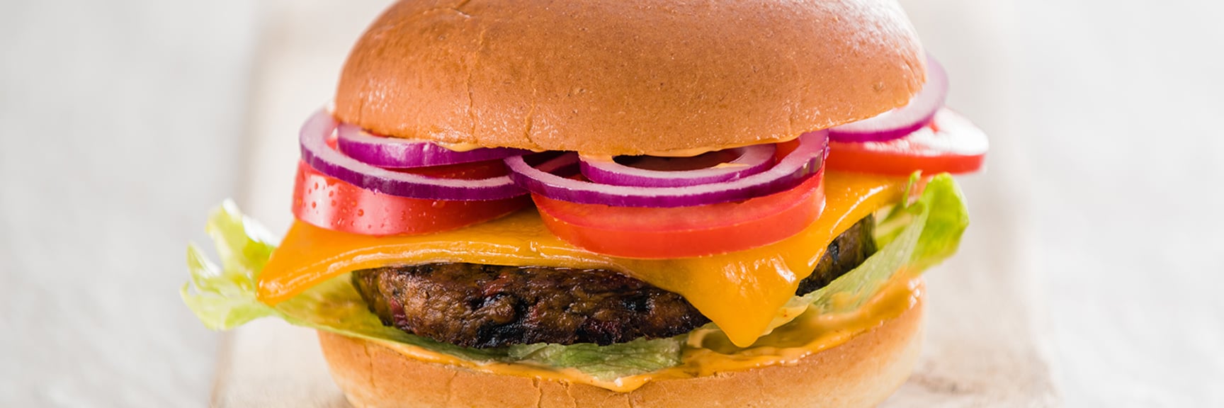 Close up of a cheeseburger.