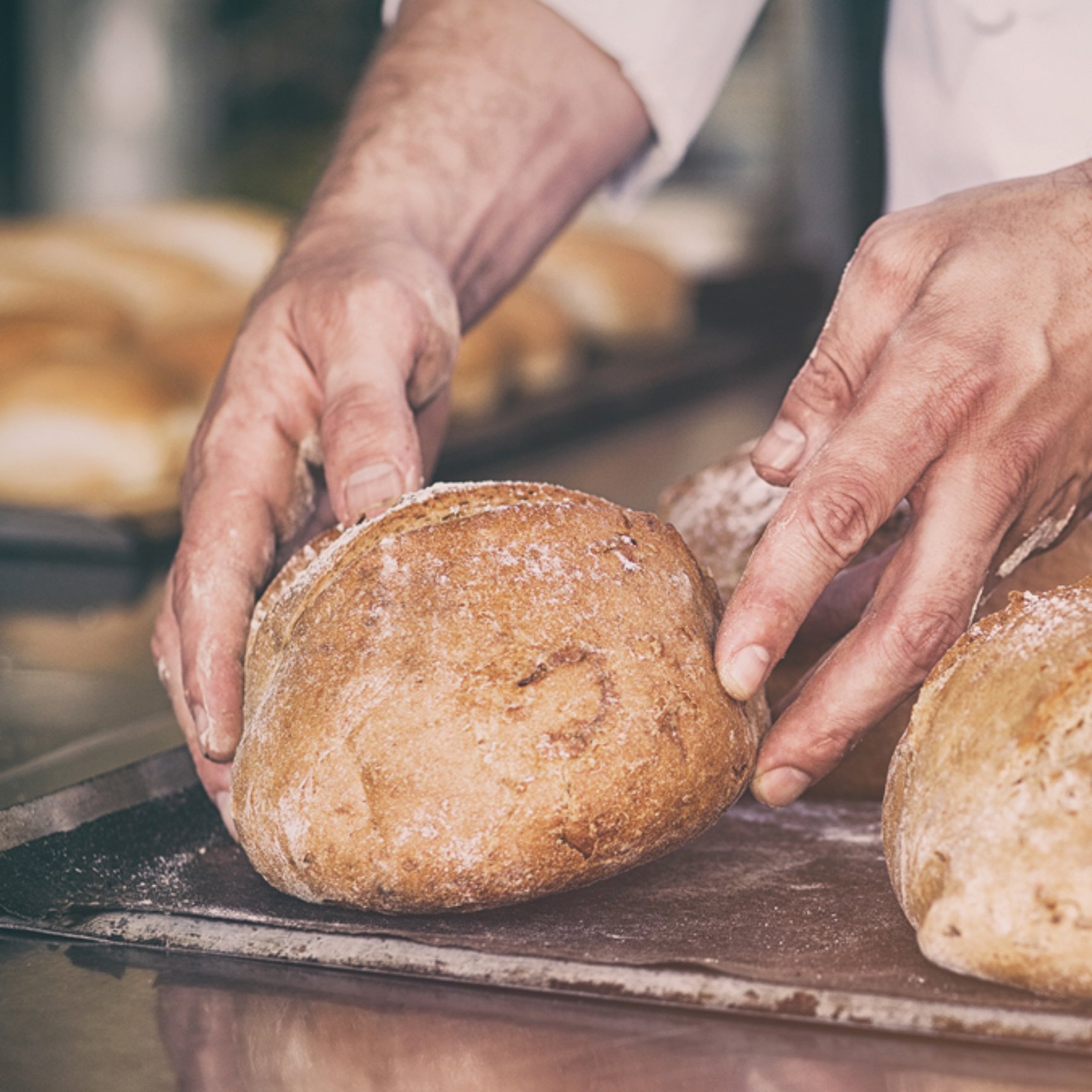 Baker Takes out Loafs of Bread From an Oven - Bakery - AAK