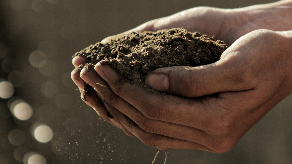 Hands holding soil - Sustainable growth - AAK