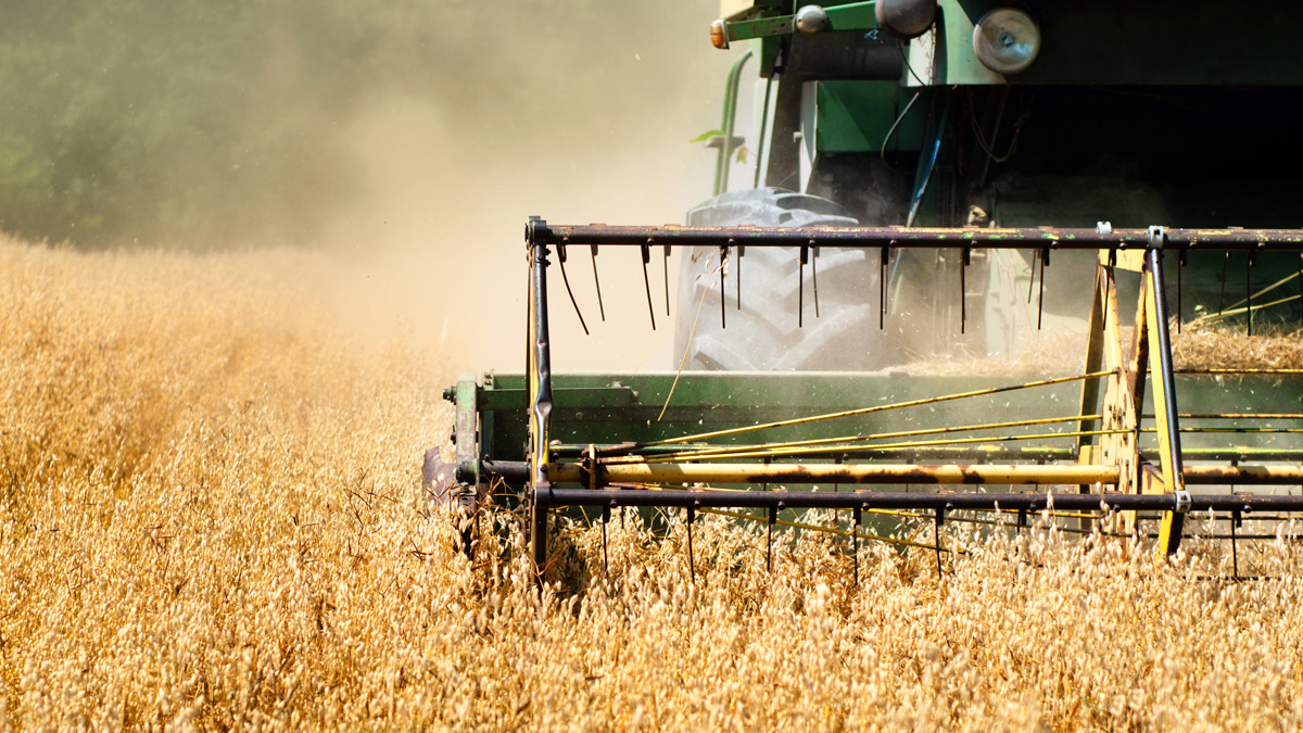 Skördetröska som kör på odlingsfält - Technical Products - AAK