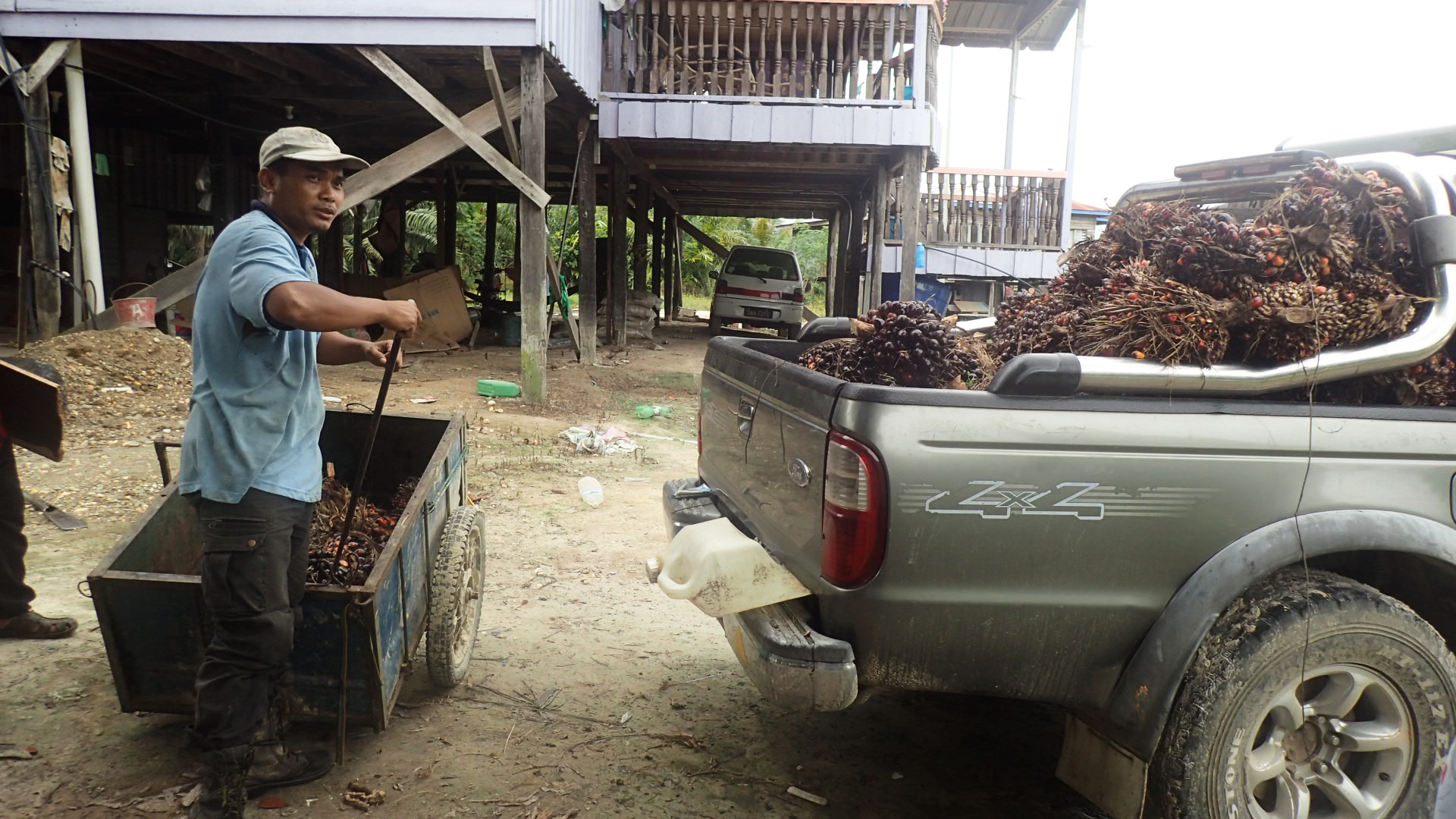 Awang Basuni loading a truck with food crops