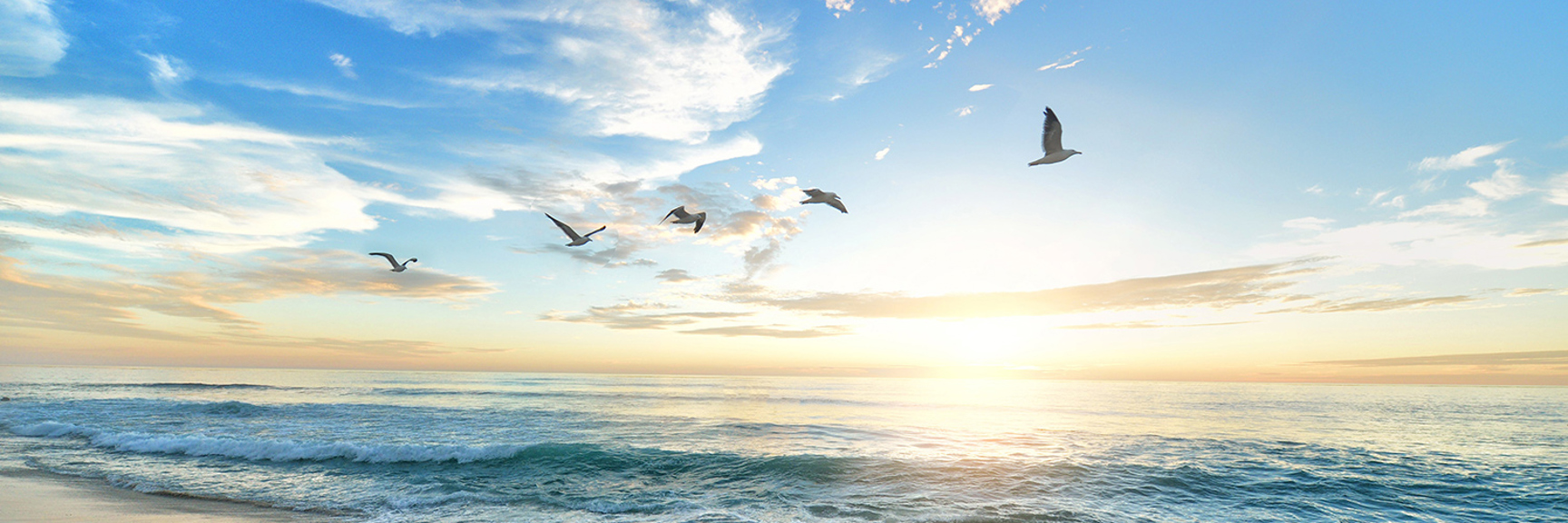 Beach at sunrise with gentle waves, five birds flying over the ocean, and a partly cloudy sky.