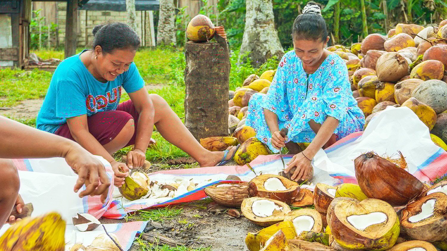 Better sourcing of coconut AAK