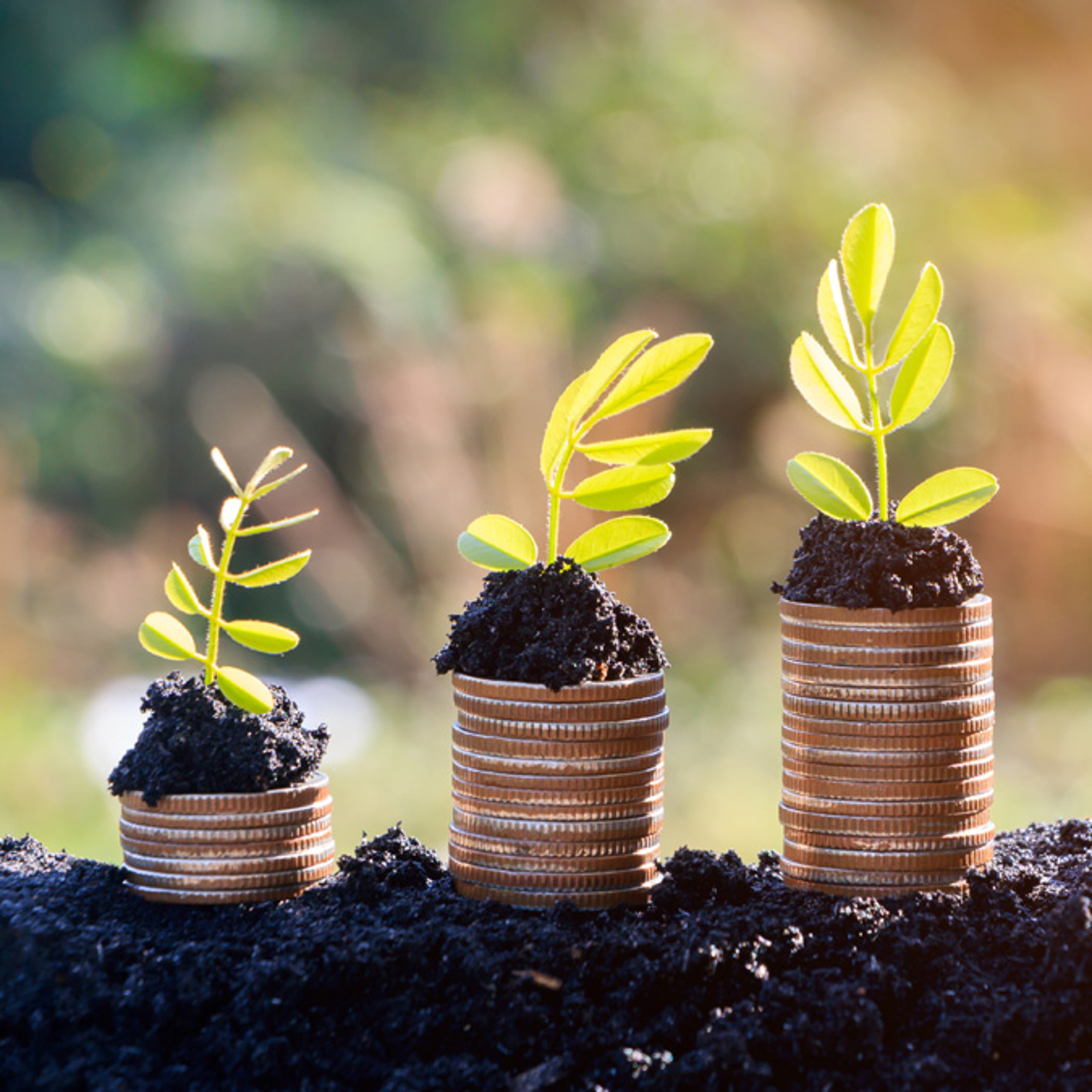 Plantor i jord på mynthögar - Technical Products - AAK