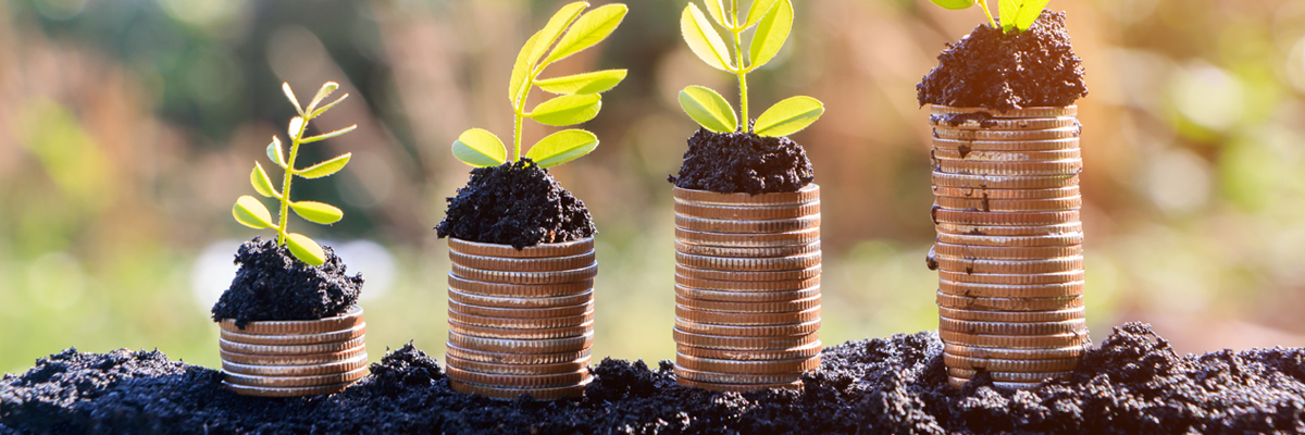 Plantor i jord på mynthögar - Technical Products - AAK