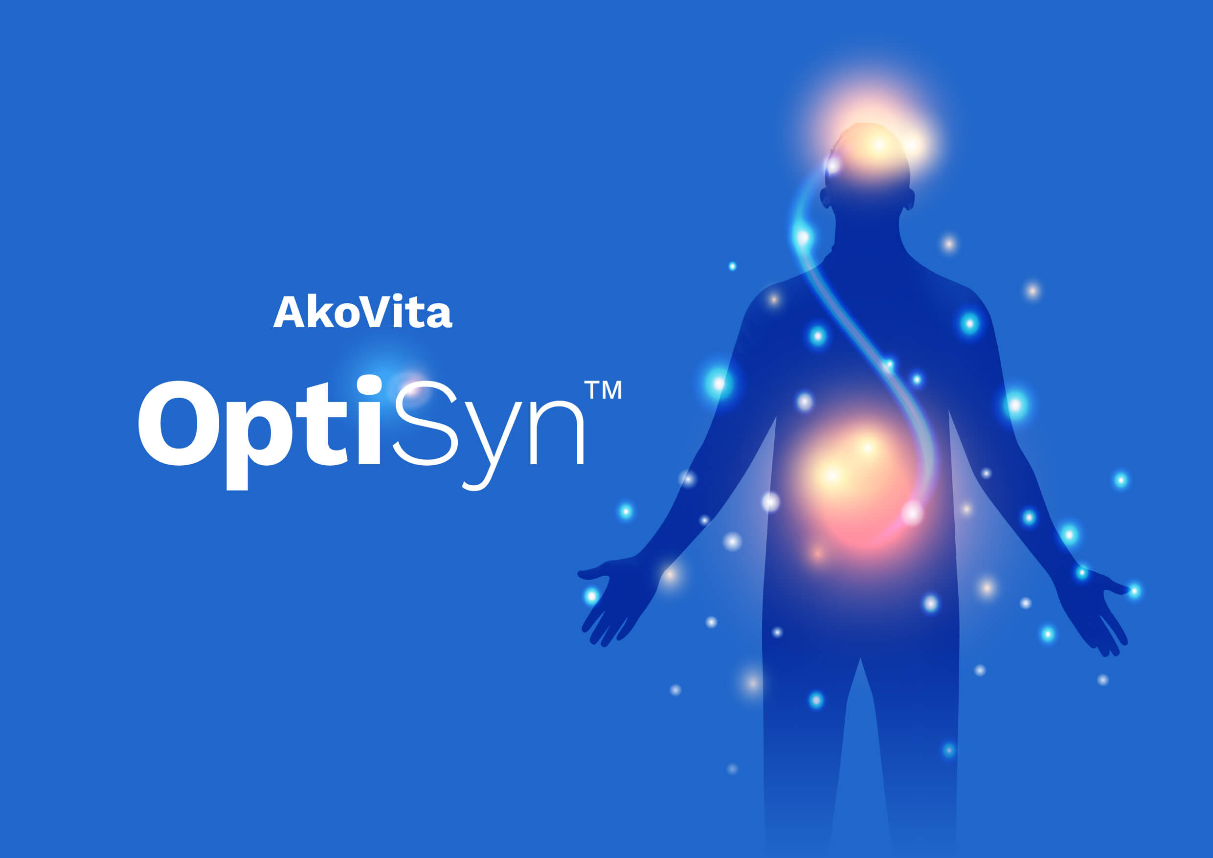 AkoVita Optisyn logo next to a blue silhouette of a person showing a connection between the brain and the stomach.