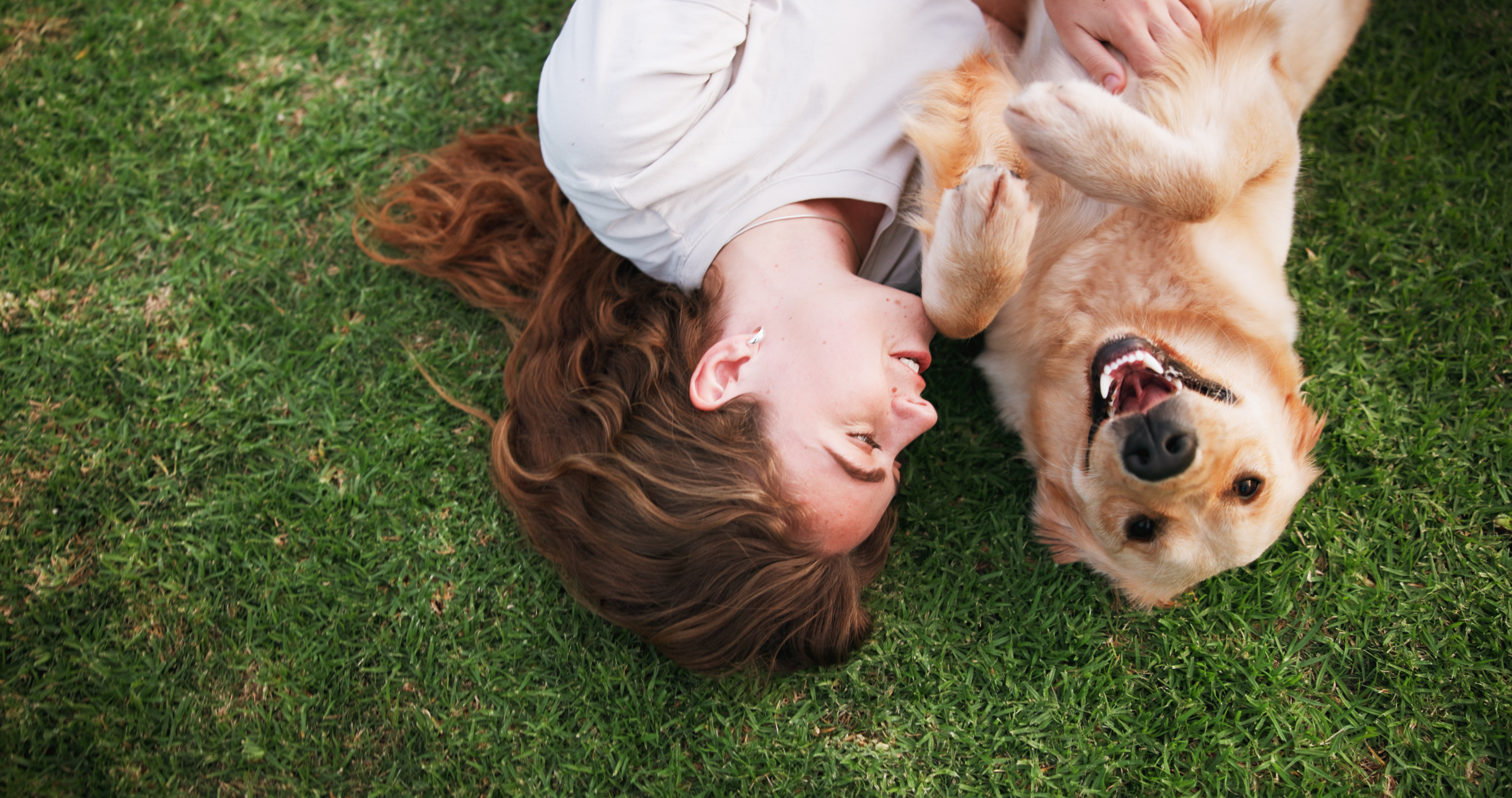 Woman lying on green grass next to a golden retriever, petting the dog’s belly while it lies on its back.