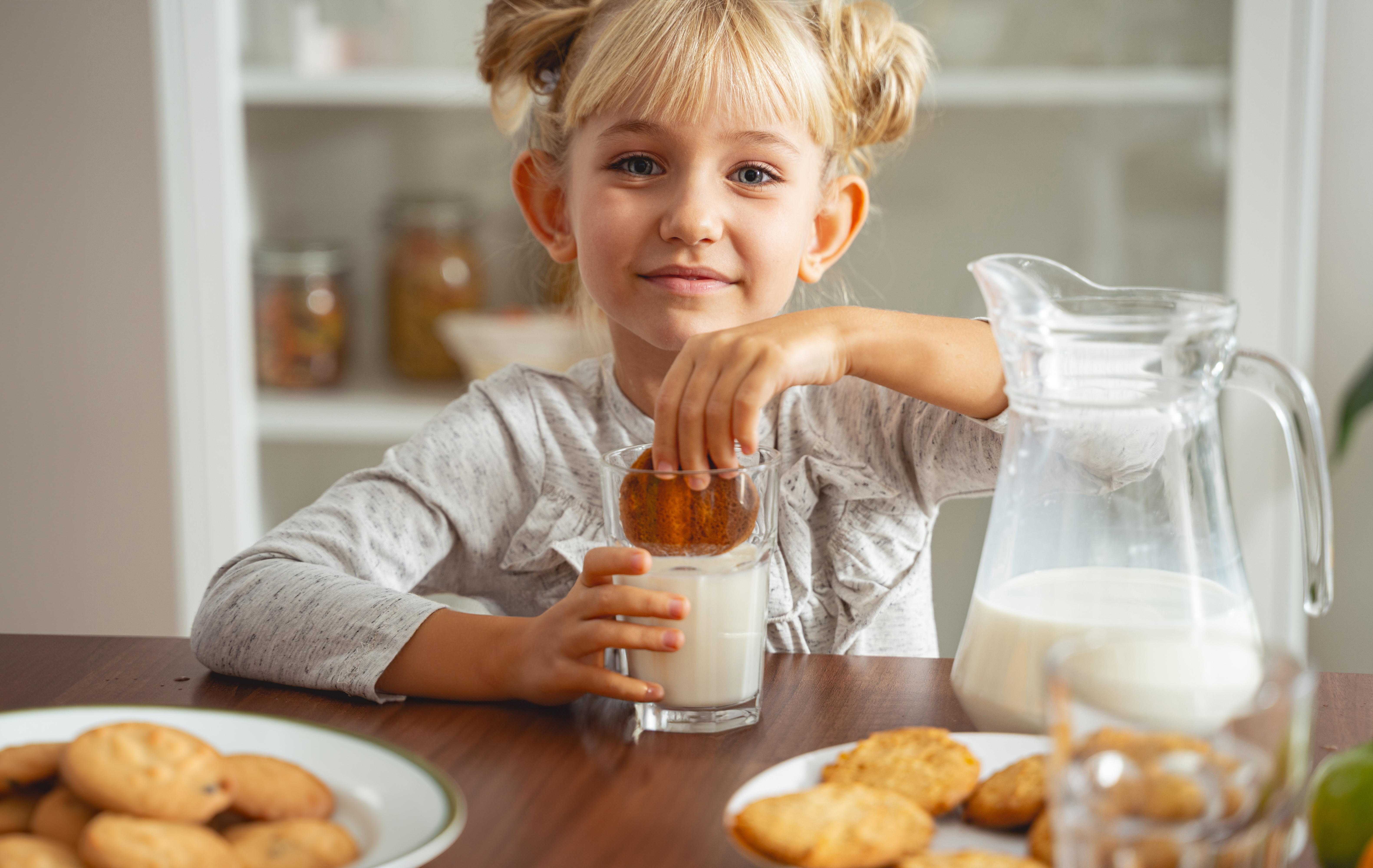 Little girl dunking a biscuit in a glass of milk.