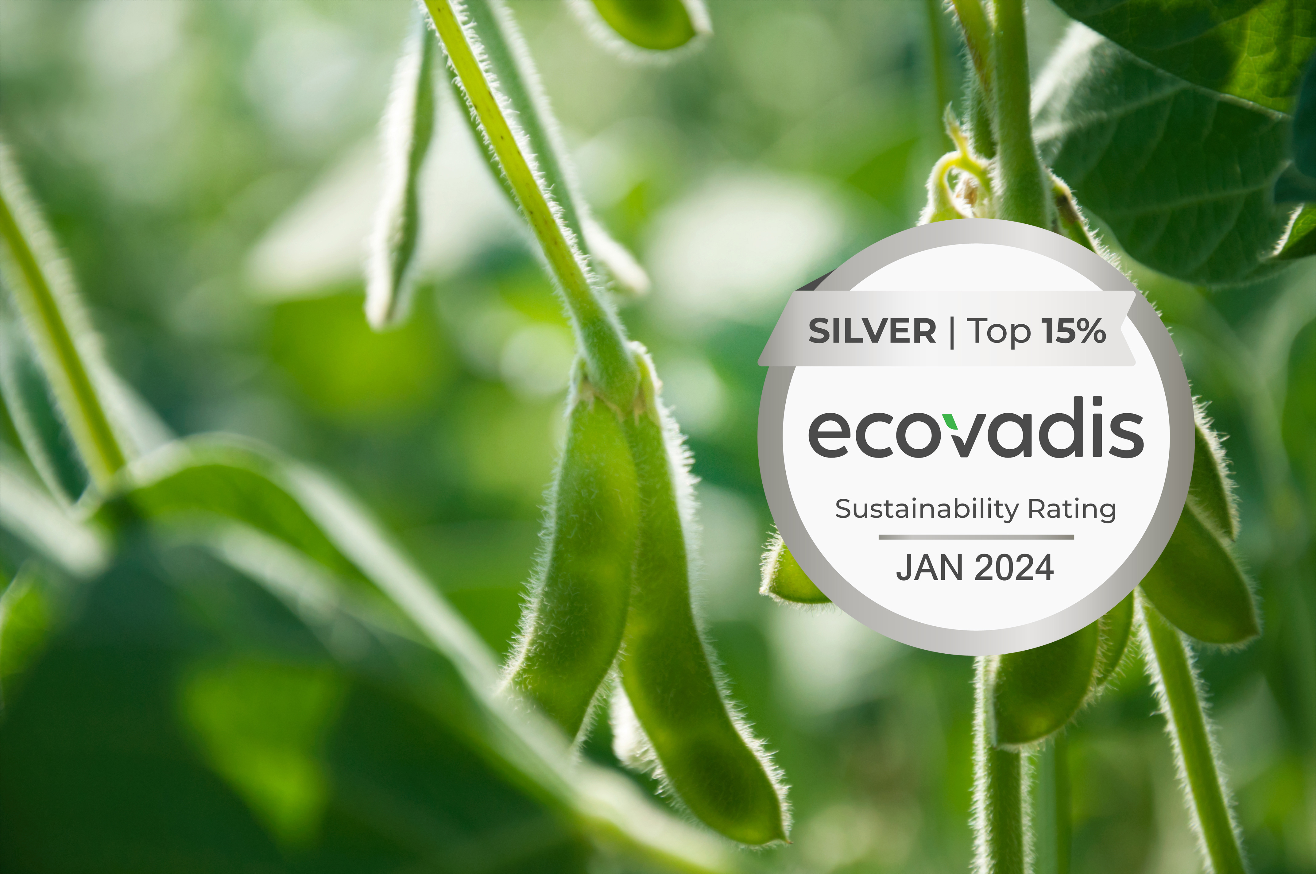 Green soybean pods with a Silver EcoVadis sustainability badge in the foreground.